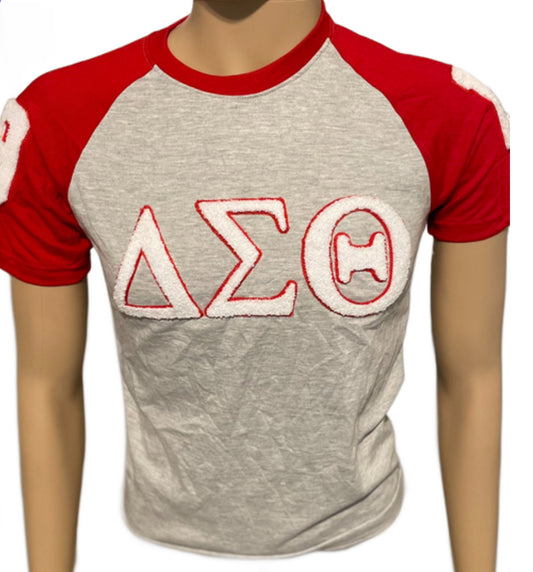 Delta Sigma Theta chenille t shirt
